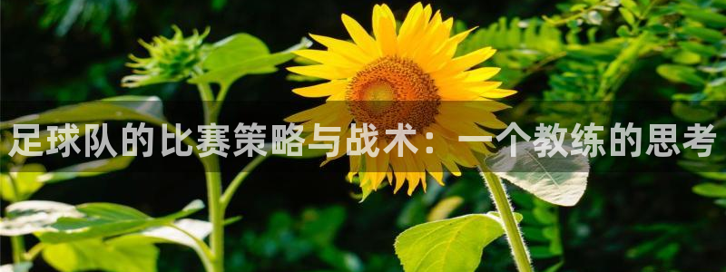 JJB竞技宝官网下载官方客服电话：足球队的比赛策略与战术：一