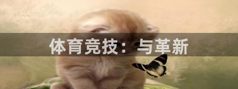 JJB竞技宝官网下载平台APP：体育竞技：与革新