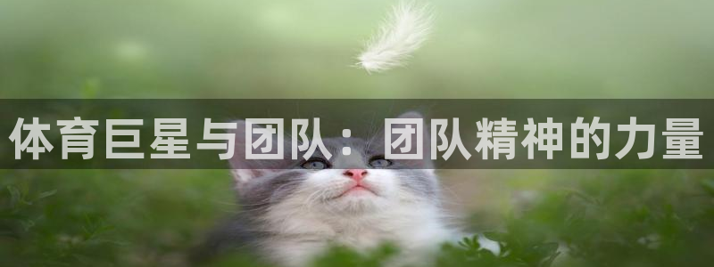 JJB竞技宝官方正版app集团E.ON：体育巨星与团