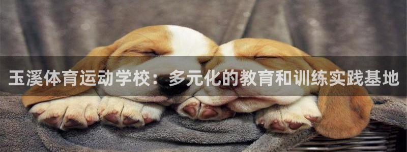 JJB竞技宝官方正版app娱乐首页网站大全：玉溪体育运动学校
