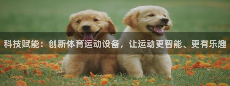 JJB竞技宝官方正版app娱乐代理怎么样：科技赋能：创新体育