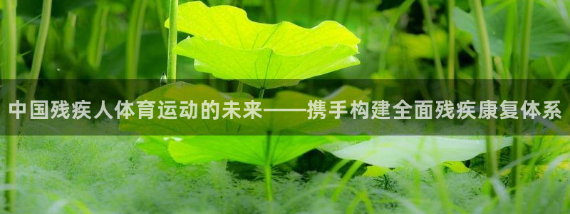 注册JJB竞技宝官方正版app：中国残疾人体育运动的