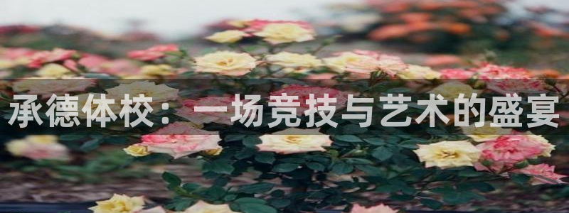 JJB竞技宝官方正版app代理