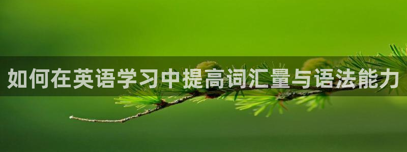JJB竞技宝官方正版app科技：如何在英语学习中提高词汇量与