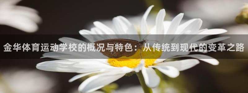 JJB竞技宝官方正版app娱乐网站：金华体育运动学校的概况与
