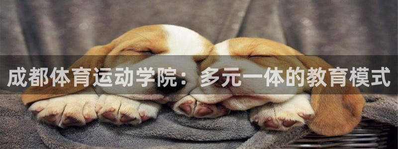 JJB竞技宝官网下载招商电话是多少号码
