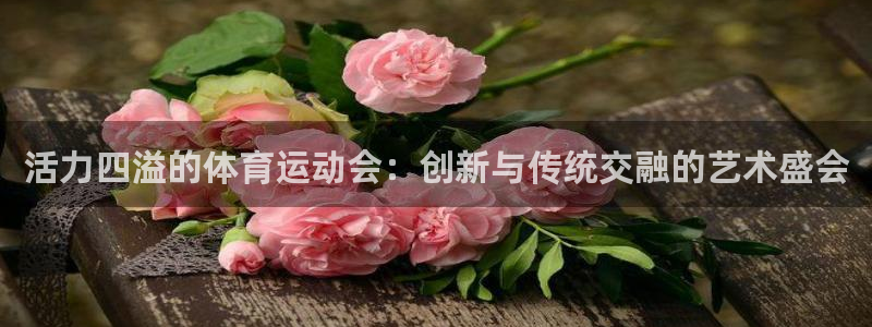 JJB竞技宝官网下载招商电话号码：活力四溢的体育运动