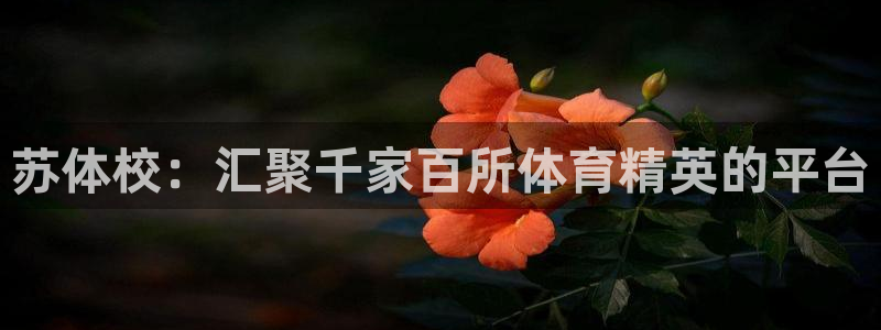JJB竞技宝官网下载平台注册流程图：苏体校：汇聚千家百所体育