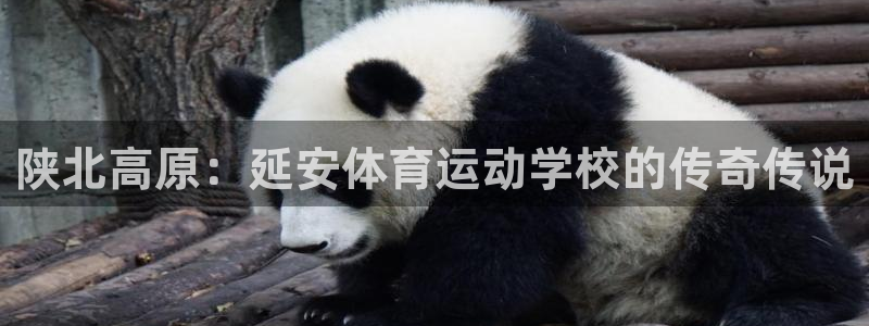 JJB竞技宝官网下载平台注册要钱吗：陕北高原：延安体