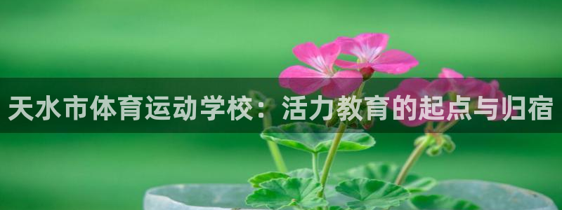 JJB竞技宝官方正版app代理