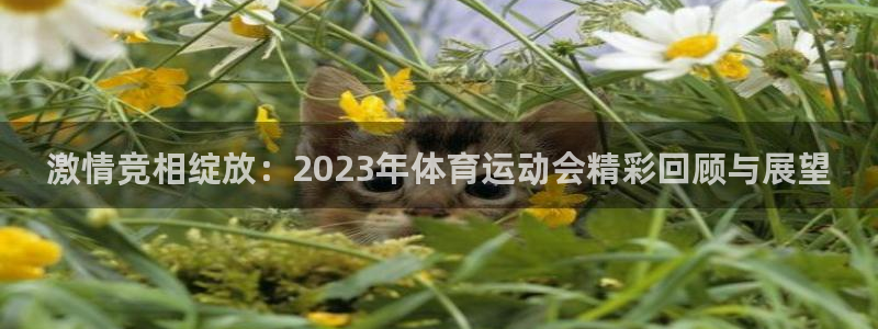 JJB竞技宝官方正版app娱乐首页网站大全：激情竞相绽放：2