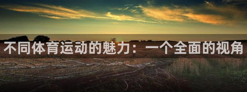 JJB竞技宝官网下载招商：不同体育运动的魅力：一个全面的视角