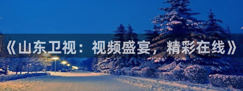 857体育赛事直播间：《山东卫视：视频盛宴，精彩在线》