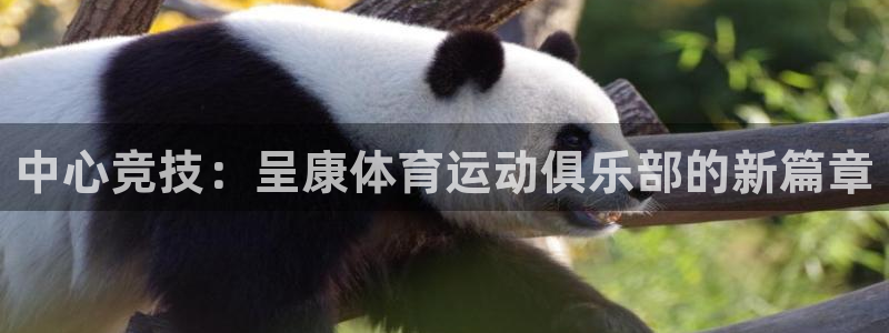 竞技宝官网在线：中心竞技：呈康体育运动俱乐部的新篇章