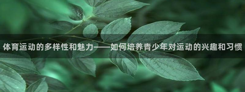 竞技宝不能用了：体育运动的多样性和魅力——如何培养青少年对运