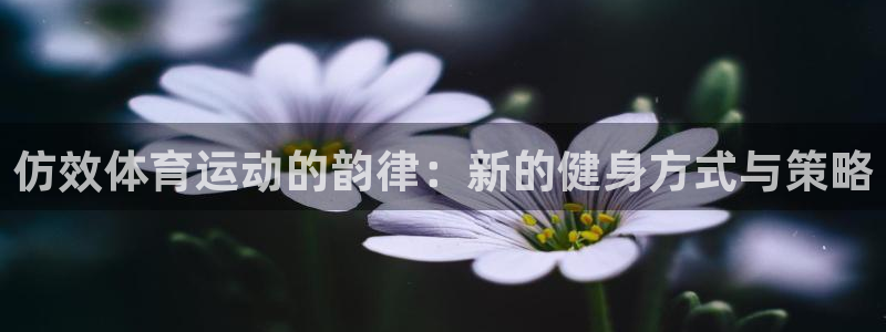 竞技宝 入口：仿效体育运动的韵律：新的健身方式与策略
