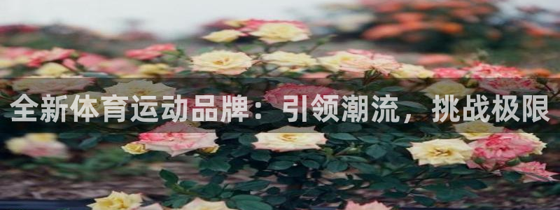 竞技宝app下载安装ios：全新体育运动品牌：引领潮流，挑战