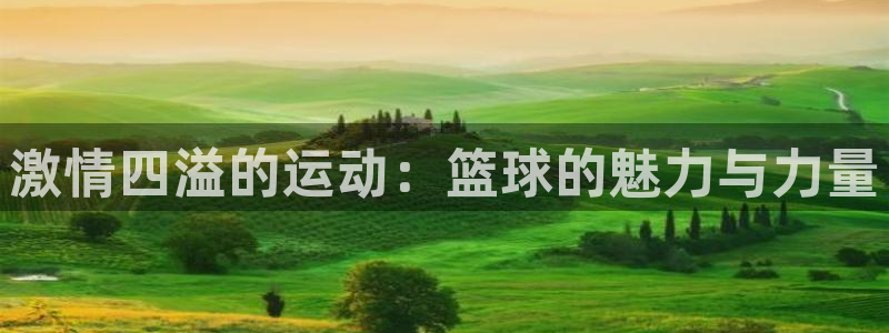  竞技宝登录入口_JJB竞技宝app：激情四溢的运动：篮球的魅
