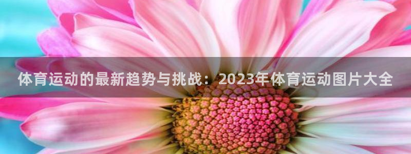 竞技宝app测速官网最新版本更新内容：体育运动的最新趋势与挑