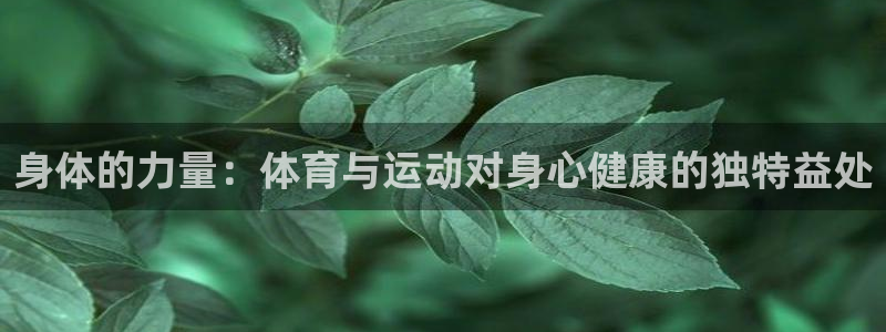 竞技宝app靠谱吗去hahabetgame：身体的力量：体育