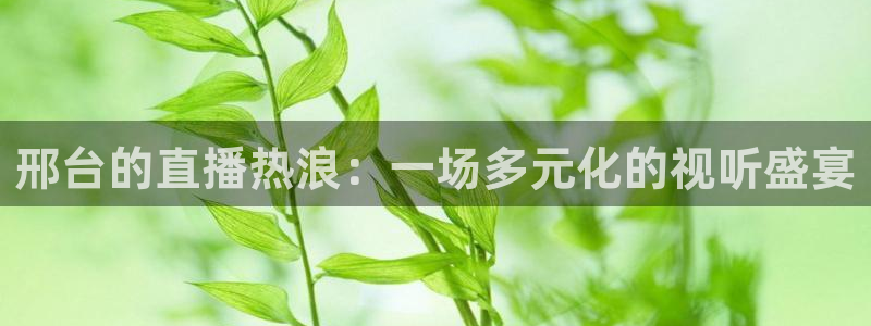 857体育赛事在线直播：邢台的直播热浪：一场多元化的视听盛宴