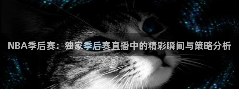 857直播体育赛事直播：NBA季后赛：独家季后赛直播中的精彩瞬间与策略分析