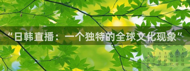 857直播体育足球免费：“日韩直播：一个独特的全球文化现象”